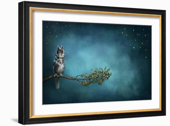 Owl Bird-egal-Framed Art Print