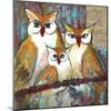 Owl Family Portrait-Blenda Tyvoll-Mounted Art Print