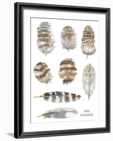 Owl Feathers-Sandra Jacobs-Framed Giclee Print