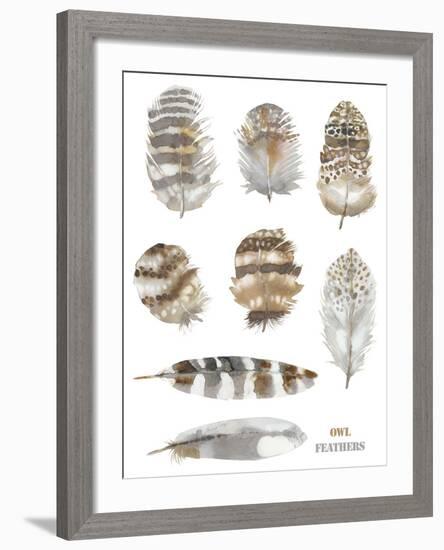 Owl Feathers-Sandra Jacobs-Framed Giclee Print