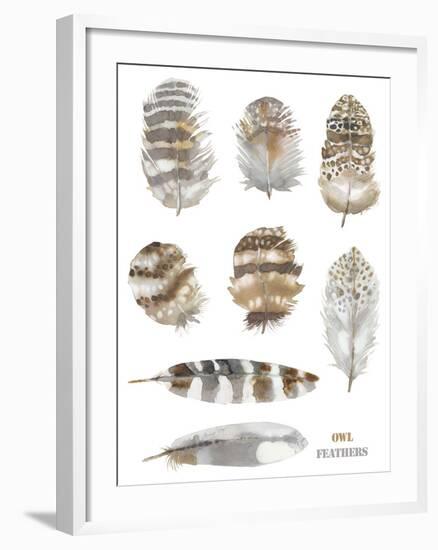 Owl Feathers-Sandra Jacobs-Framed Giclee Print