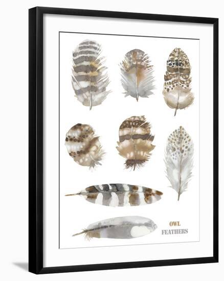 Owl Feathers-Sandra Jacobs-Framed Giclee Print