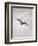 Owl Flying Against a Moonlit Sky-Caspar David Friedrich-Framed Giclee Print