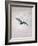 Owl Flying Against a Moonlit Sky-Caspar David Friedrich-Framed Giclee Print