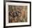 Owl Haven-Chris Forrest-Framed Limited Edition