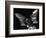 Owl, Hawaii, 1982-Brett Weston-Framed Photographic Print