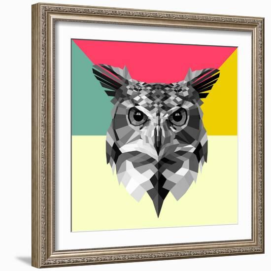 Owl Head-Lisa Kroll-Framed Art Print