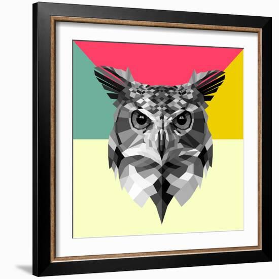 Owl Head-Lisa Kroll-Framed Art Print