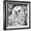 Owl III-Joseph Marshal Foster-Framed Art Print