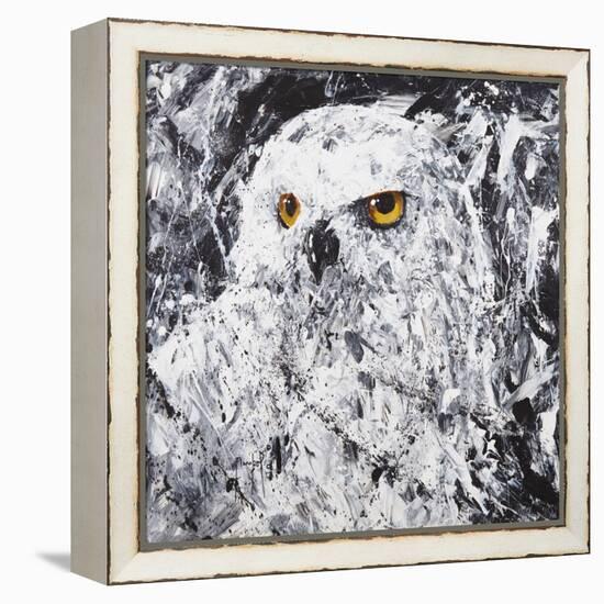 Owl III-Joseph Marshal Foster-Framed Stretched Canvas