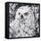 Owl III-Joseph Marshal Foster-Framed Stretched Canvas