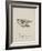 Owl Illustrations and Verses From Nonsense Alphabets Drawn and Written by Edward Lear.-Edward Lear-Framed Giclee Print