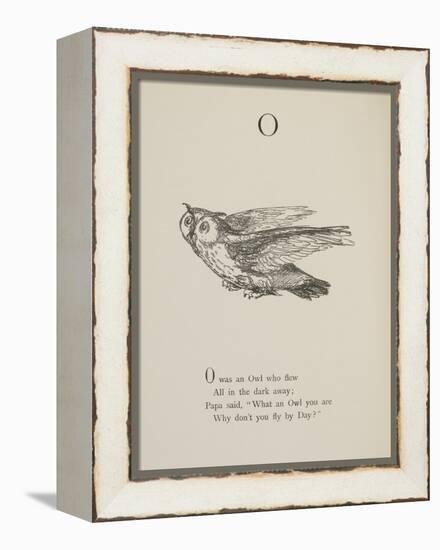 Owl Illustrations and Verses From Nonsense Alphabets Drawn and Written by Edward Lear.-Edward Lear-Framed Premier Image Canvas