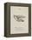 Owl Illustrations and Verses From Nonsense Alphabets Drawn and Written by Edward Lear.-Edward Lear-Framed Premier Image Canvas