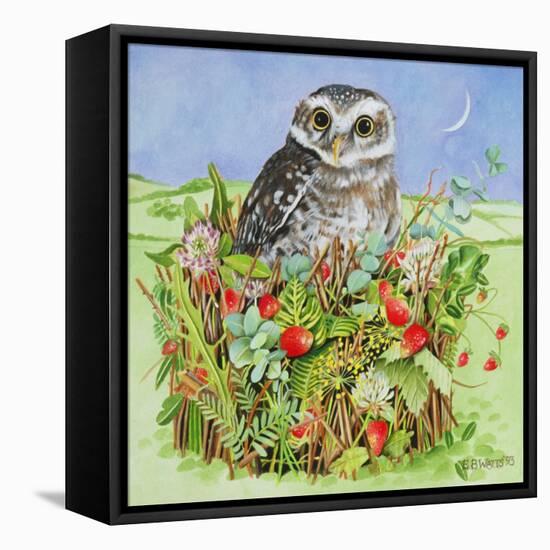 Owl in a Woodland Basket, 1993-E.B. Watts-Framed Premier Image Canvas