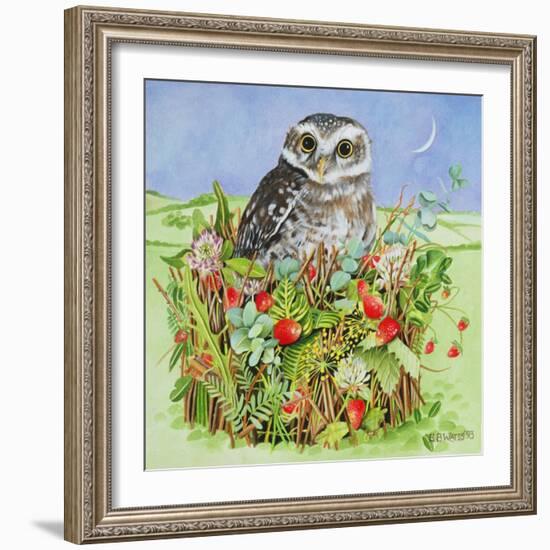 Owl in a Woodland Basket, 1993-E.B. Watts-Framed Giclee Print