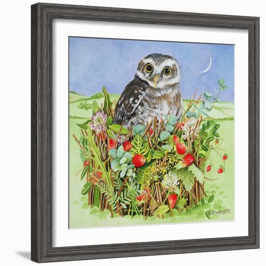 Owl in a Woodland Basket, 1993-E.B. Watts-Framed Giclee Print