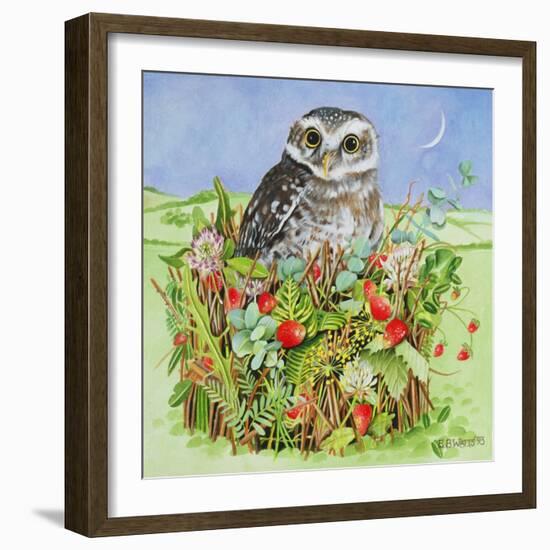 Owl in a Woodland Basket, 1993-E.B. Watts-Framed Giclee Print