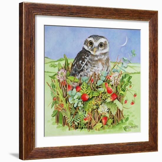 Owl in a Woodland Basket, 1993-E.B. Watts-Framed Giclee Print