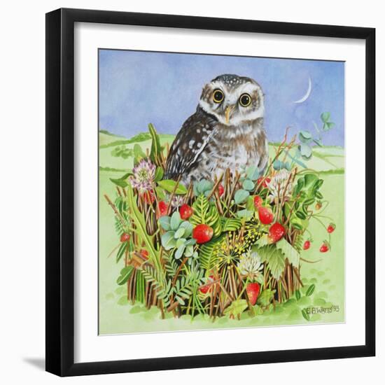 Owl in a Woodland Basket, 1993-E.B. Watts-Framed Giclee Print