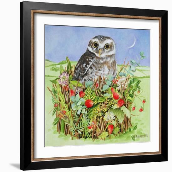 Owl in a Woodland Basket, 1993-E.B. Watts-Framed Giclee Print