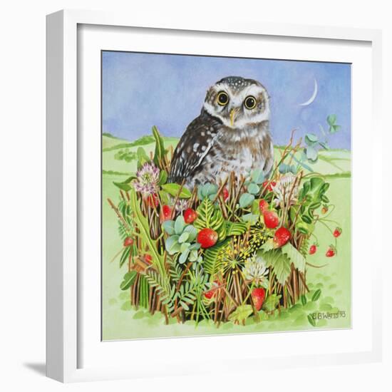 Owl in a Woodland Basket, 1993-E.B. Watts-Framed Giclee Print