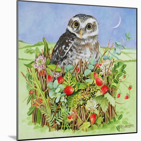 Owl in a Woodland Basket, 1993-E.B. Watts-Mounted Giclee Print