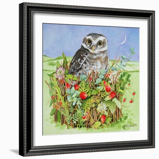 Owl in a Woodland Basket, 1993-E.B. Watts-Framed Giclee Print