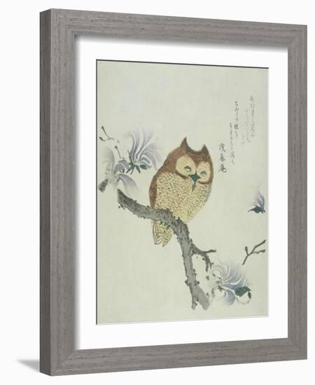 Owl on a Flowering Magnolia Branch-Kubo Shunman-Framed Giclee Print