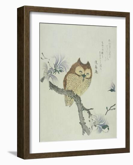 Owl on a Flowering Magnolia Branch-Kubo Shunman-Framed Giclee Print