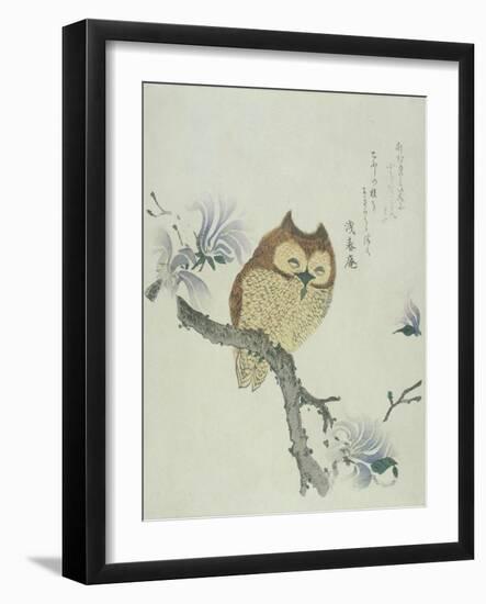 Owl on a Flowering Magnolia Branch-Kubo Shunman-Framed Giclee Print