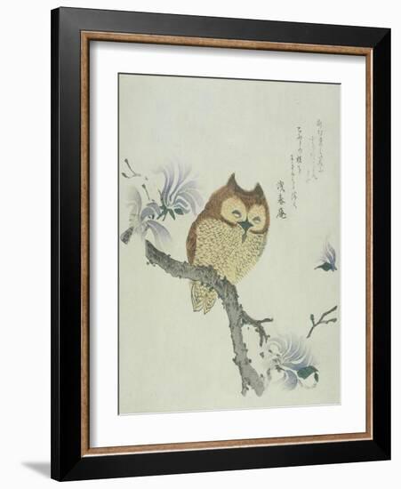 Owl on a Flowering Magnolia Branch-Kubo Shunman-Framed Giclee Print