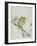 Owl on a Flowering Magnolia Branch-Kubo Shunman-Framed Giclee Print