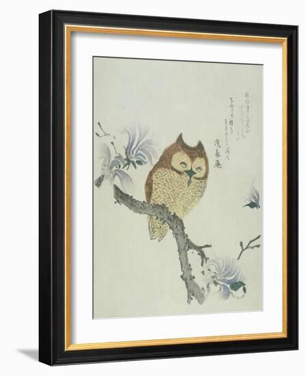 Owl on a Flowering Magnolia Branch-Kubo Shunman-Framed Giclee Print