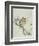 Owl on a Flowering Magnolia Branch-Kubo Shunman-Framed Giclee Print