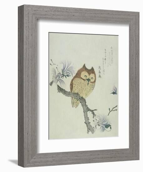 Owl on a Flowering Magnolia Branch-Kubo Shunman-Framed Giclee Print