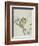 Owl on a Flowering Magnolia Branch-Kubo Shunman-Framed Giclee Print