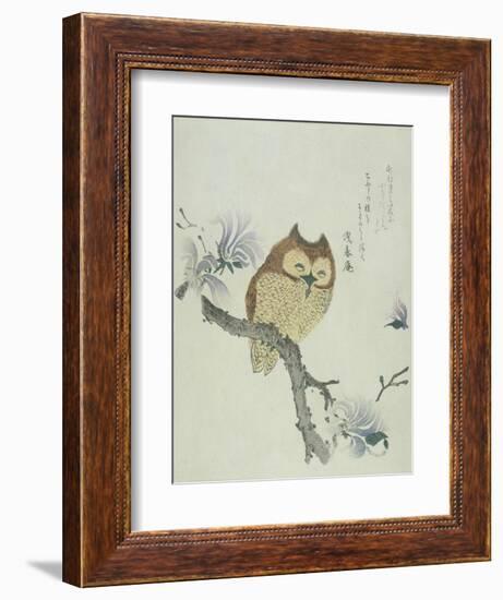 Owl on a Flowering Magnolia Branch-Kubo Shunman-Framed Giclee Print