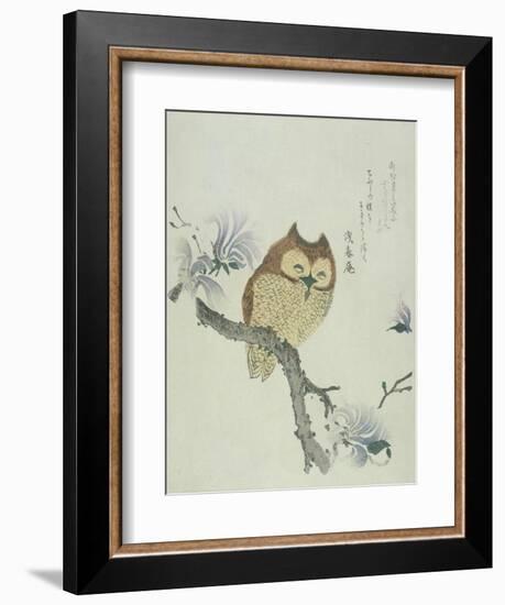 Owl on a Flowering Magnolia Branch-Kubo Shunman-Framed Giclee Print