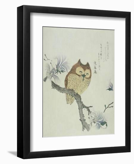 Owl on a Flowering Magnolia Branch-Kubo Shunman-Framed Giclee Print