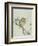 Owl on a Flowering Magnolia Branch-Kubo Shunman-Framed Giclee Print