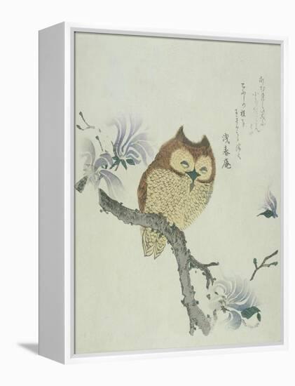 Owl on a Flowering Magnolia Branch-Kubo Shunman-Framed Premier Image Canvas