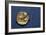 Owl on a Greek Gold Stater struck by Lachares, 300BC-295BC-Unknown-Framed Giclee Print