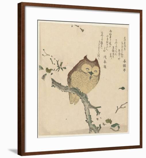 Owl on a Magnolia Branch, c. 1890- 1900-Kubota Shunman, Shunchôtei, Senshunan-Framed Art Print
