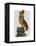 Owl on Books-Fab Funky-Framed Stretched Canvas