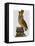 Owl on Books-Fab Funky-Framed Stretched Canvas