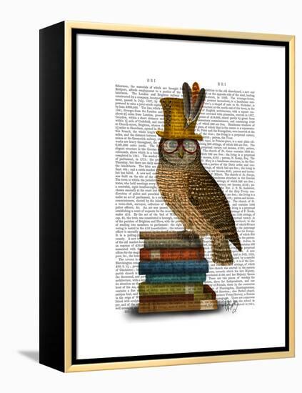 Owl on Books-Fab Funky-Framed Stretched Canvas