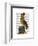 Owl on Books-Fab Funky-Framed Art Print