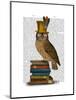 Owl on Books-Fab Funky-Mounted Art Print