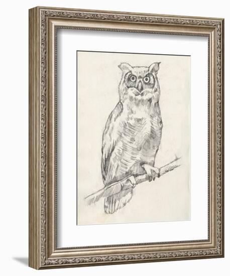 Owl Portrait I-Jennifer Goldberger-Framed Art Print